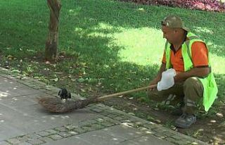 Ataşehir’de temizlik görevlisi ile karga ’Şeyhmus’un...