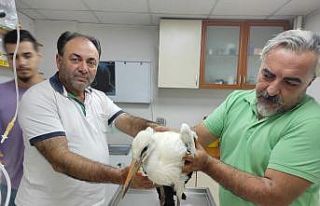 Ayağı kopan leylek tedaviye alındı