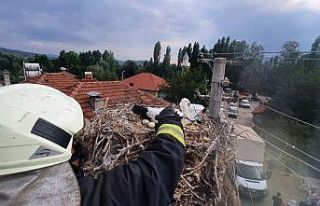 Ayağına ip dolanan Leylek İtfaiye tarafından kurtarıldı