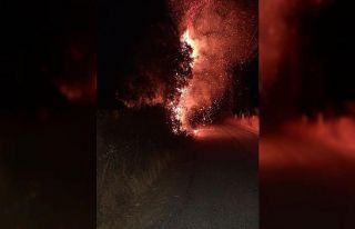 Aydın alevlere teslim oldu, gecenin karanlığını...