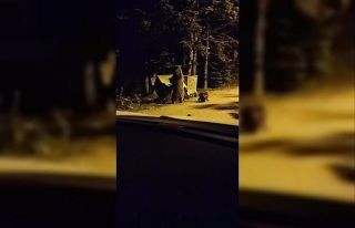 Ayının saldırısına uğradı, yüzüne ışık...