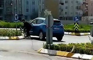 Bafra’da belediyenin refüje diktiği çiçekleri...