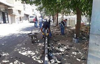 Bağlar yeni yollar ve kaldırımlarla güzelleşiyor