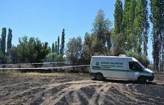 Bahçesindeki otları yakmak isterken canından oldu
