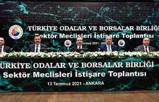 Bakan Muş, Türkiye Sektör Meclisi temsilcilerinden...