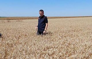 Bakan Pakdemirli: "Kanola tohumunun bundan sonra...