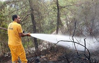 Bakan Pakdemirli: "Osmaniye’deki yangın kontrol...