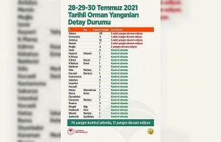 Bakan Pakdemirli: "Toplam 85 orman yangınından...
