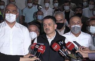 Bakan Pakdemirli: “Yangın maalesef kontrol altına...