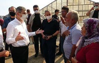 Bakan Yardımcısı İnce, yangın bölgesinde incelemelerde...
