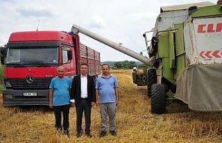 Balıkesir Üniversitesinde ekin hasadı başladı