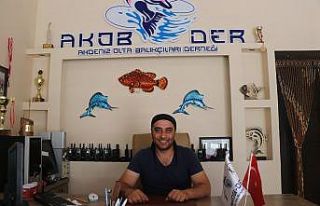 Balon balığı avcılığı teşviki olta balıkçılarını...