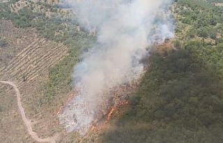 Balya Müstecap’da çıkan orman yangını söndürüldü