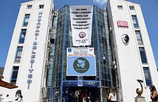 Barış Güvercini Kuşadası’nda