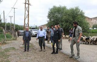 Başkale’de hasar tespit çalışmaları sürüyor