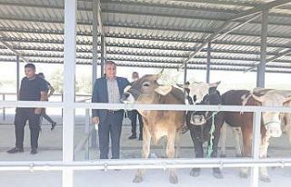 Başkan Arif Teke: ’’Canlı hayvan pazarı ekonomiye...