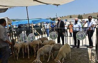 Başkan Bakkalcıoğlu canlı hayvan pazarını ziyaret...