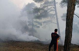 Başkan Büyükkılıç: "Yangın, sarp bölgeler...