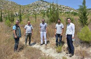 Başkan Güngör: “Tarihi kervan yolunda son aşamaya...