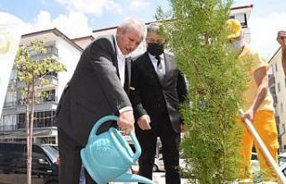 Başkan Sarı açıkladı: Yanan ormanlara 10 bin...