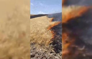 Başkan Sayan’a ait tarım arazisinde yangın çıktı