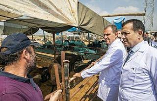 Başkan Seçer ve Başkan Özyiğit, kurban satış...