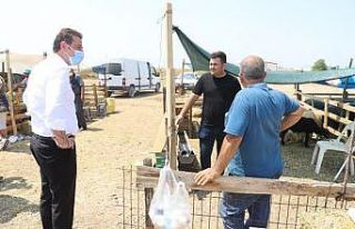 Başkan Tosun kurban pazarını gezdi