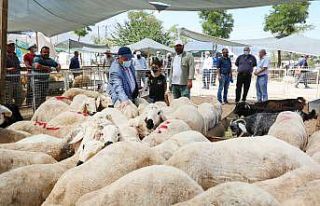 Başkan Yalçın: "Bayrama hazırız"