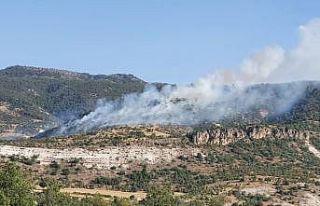 Başkent’te ormanlık alanda yangın
