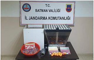 Batman’da kumar oynayan 19 kişiye 37 bin 393 TL...