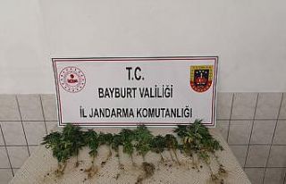 Bayburt’ta bir miktar kenevir ve tabanca ele geçirildi