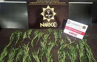 Bayburt’ta uyuşturucuya geçit yok: 5 şüpheli...