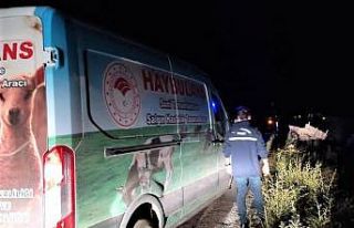 Bayburt’ta yaralı ata “Haybulans” ile müdahale...