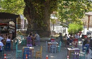 Bayır Mahallesi’nin simgesi çınar ağacı asırlara...