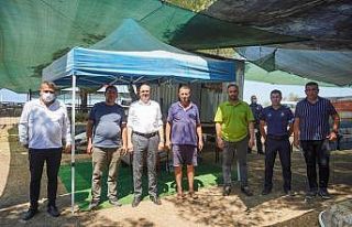 Belediye Başkanı Ergin’den kurban pazarı denetimi