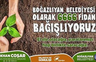 Belediyeden fidan bağışı