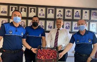 Belediyeye gönderdiği mektupla mürdüm eriği istedi