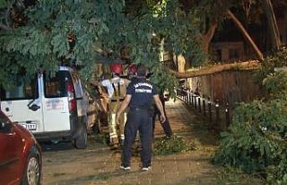 Beşiktaş’ta hafif ticari aracın üstüne ağaç...