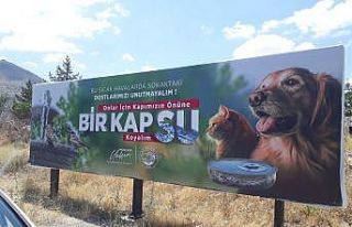 Bilboradlardan sokak hayvanları için su çağrısı