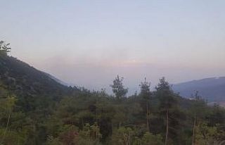 Bilecik’te kontrol altına alınan orman yangını...