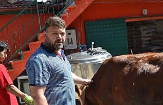 Bilecik’te kurbanlık telaşı başladı