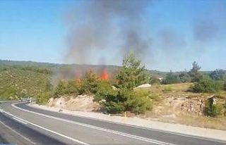 Bilecik’te ormanlık alanda yangın: 1 kişi gözaltına...