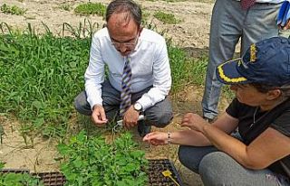 Bilecik’te TUAM tarafından 15 tarımsal proje yürütülüyor