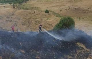 Bingöl’de anız yangını ormana sıçramadan söndürüldü