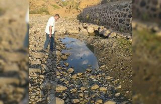 Bingöl’de kuraklık balıkları da vurdu, yüzlercesi...