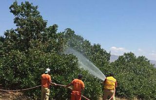 Bingöl’deki orman yangını söndürüldü, soğutma...