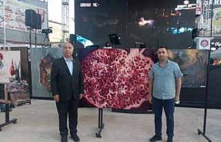 ’Birlik Beraberlik’ adlı resmi ödüle layık...