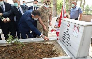 Bitlis’te 15 Temmuz Demokrasi ve Birlik Günü
