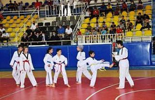 Bitlis’te yaz spor okullarının açılışı yapıldı