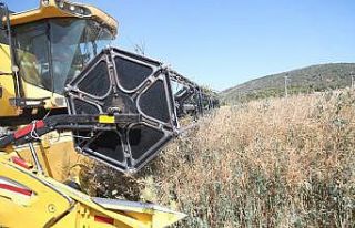 Bodrum Belediyesi, akaryakıtını kendi üretiyor